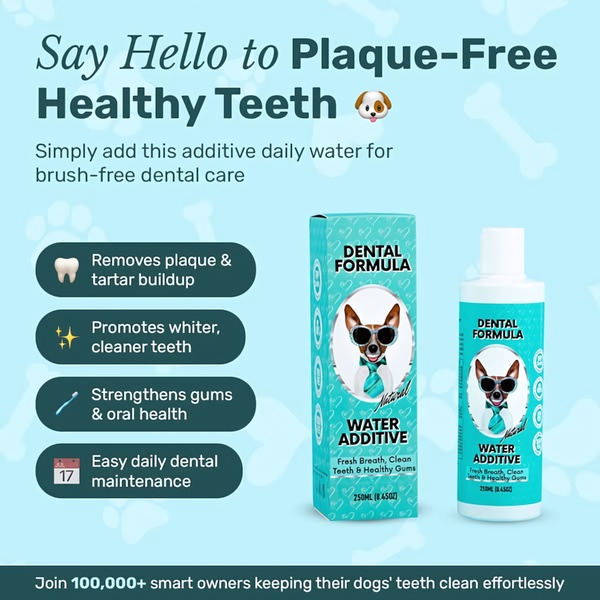 A clean, feature-focused graphic for a dog dental water additive that highlights ease of use and health benefits for pet owners.